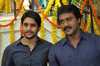 Naga Chaitanya Sunil Movie Opening